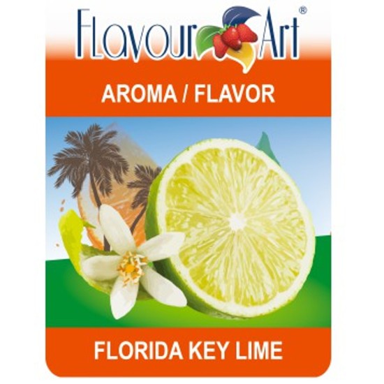 Flavour Art E-Likit Aroması Florida Key Lime 10ML