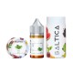 Saltica Mint Leaf Salt Likit 30ML